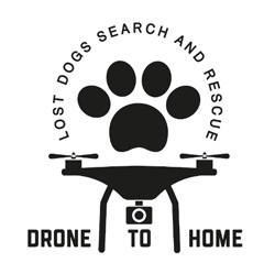 Drone to Home logo