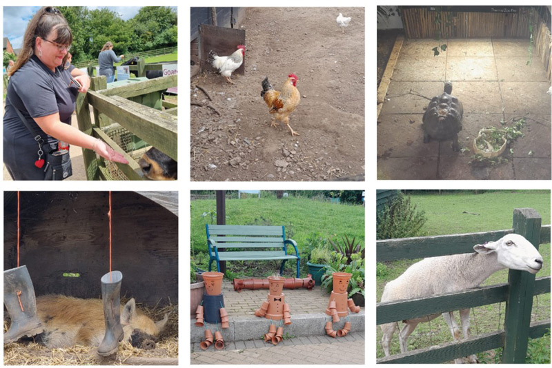 Stonebridge City Farm 6