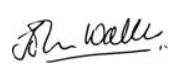 John Wallis signature