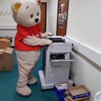 Bow Bear photocopying
